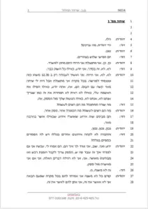 תמלול משפטי - דוגמא לפרוטוקול תקני המוגש לבית המשפט